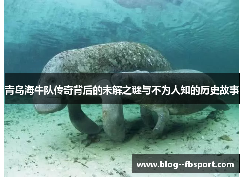青岛海牛队传奇背后的未解之谜与不为人知的历史故事