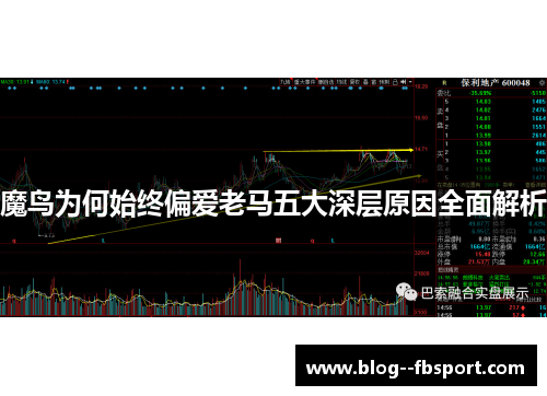 魔鸟为何始终偏爱老马五大深层原因全面解析